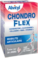 Govital Chondroflex Comprimés B/60 à ANDERNOS-LES-BAINS